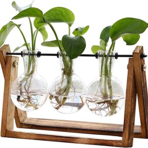 FLOWER Plant Terrarium with Wooden Stand